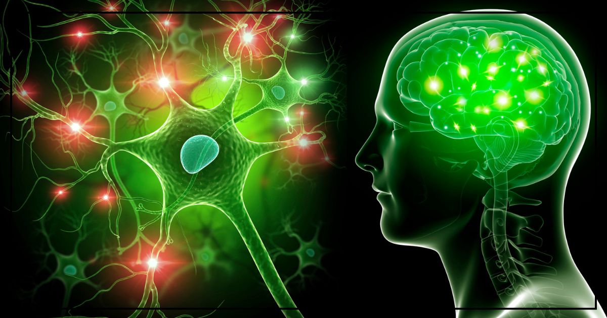 Neurological Disorder Treatment in Parsippany, New Jersey (NJ), NYC
